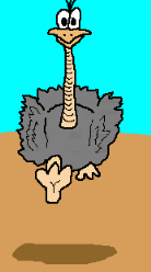 O reino Animal