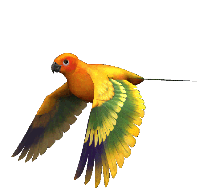 O reino Animal