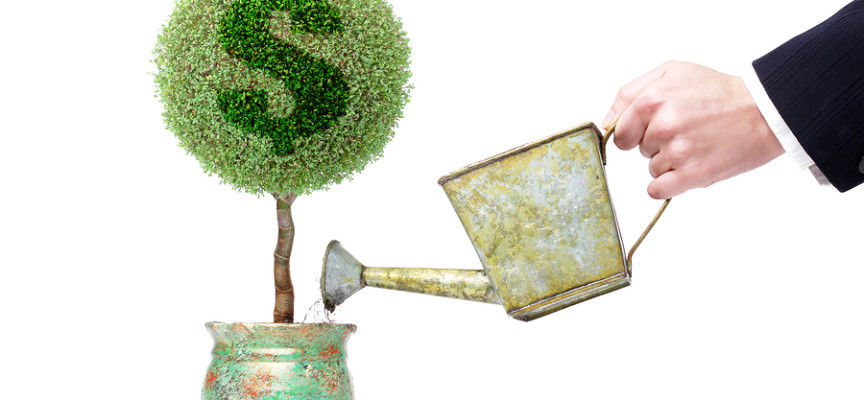 Estrategias para la sustentabilidad