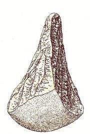 LA PREHISTORIA EN LA PENÍNSULA IBÉRICA