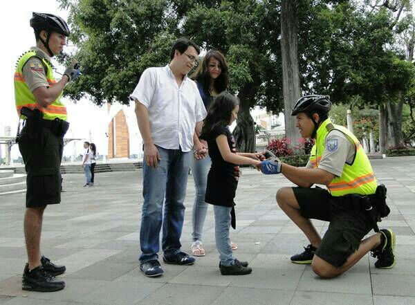 ORIGEN DE LA POLICíA COMUNITARIA.