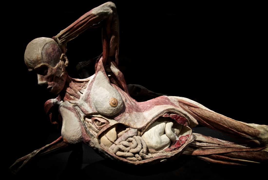 Arte es todo lo que los hombres llaman Arte