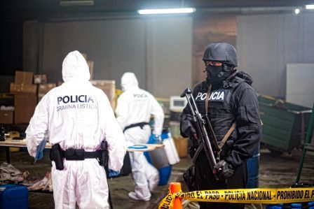 PROCEDIMIENTOS POLICIALES en caso de aprehensión en delito flagrante
