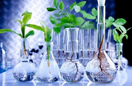 HIPÓTESIS