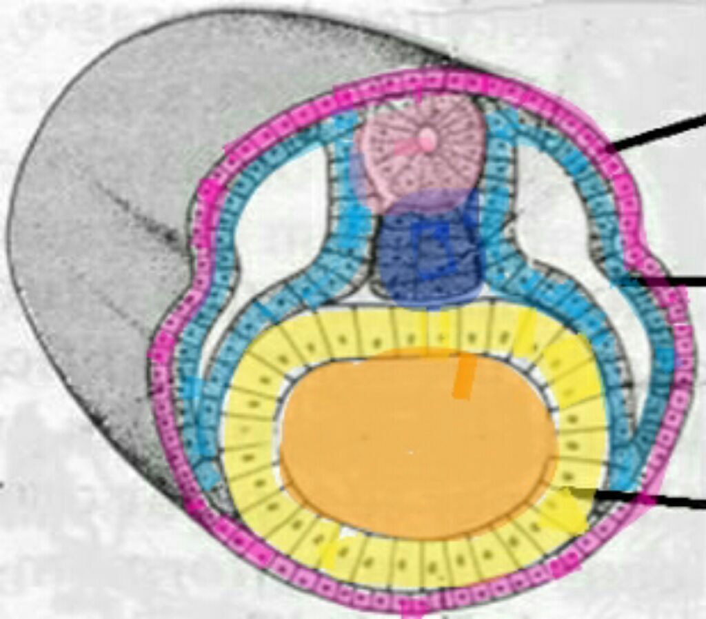 Image for question 1