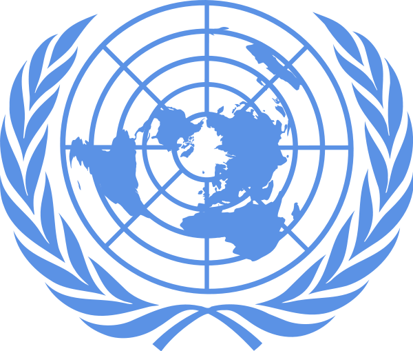 LOS SUJETOS DEL DERECHO INTERNACIONAL PÚBLICO