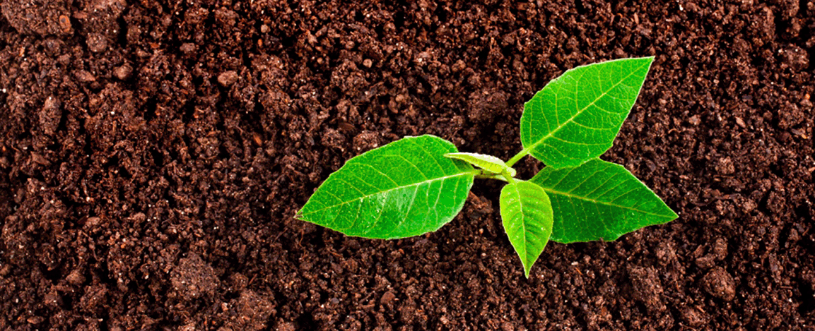 O solo é um corpo de material inconsolidado que cobre a superfície terrestre emersa, entre a litosfera e a atmosfera.