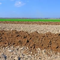 A pedosfera é a camada mais externa da Terra e é composta do solo e sujeita a processos de formação de solo