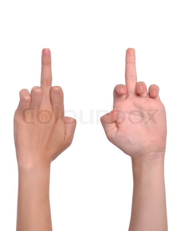 one of the extensions from the hand