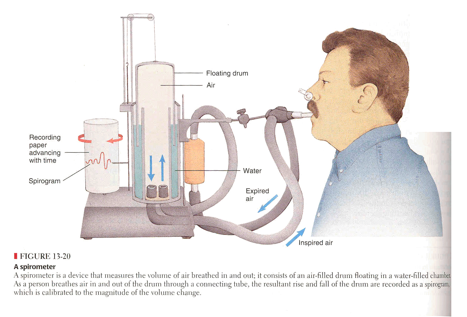 VOLÚMENES Y CAPACIDADES PULMONARES