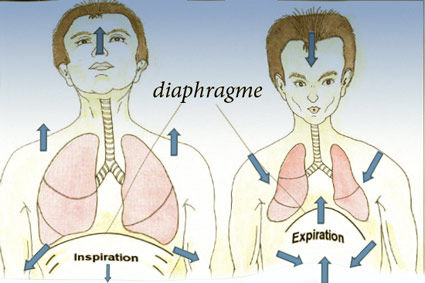 VOLÚMENES Y CAPACIDADES PULMONARES