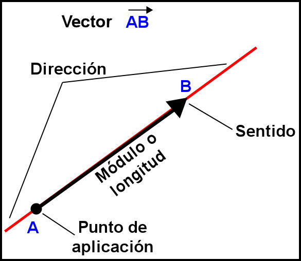 El vector y sus partes