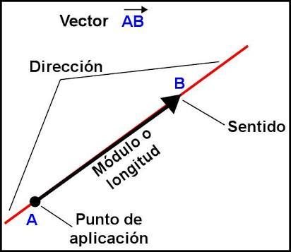Qué es un vector y sus partes: