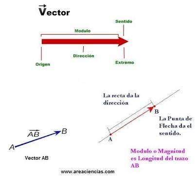 Las partes de un vector.
