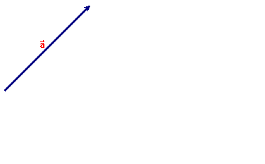 Vector