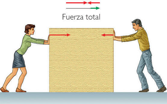 Fuerzas por contacto y a distancia.