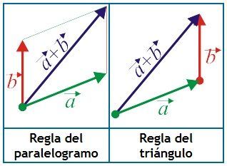 Vector y sus partes.
