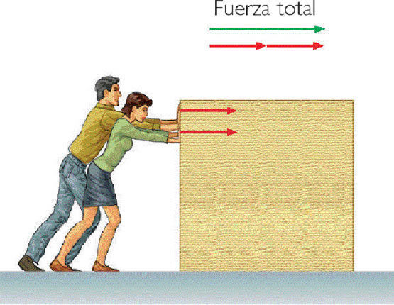 La segunda ley de Newton.