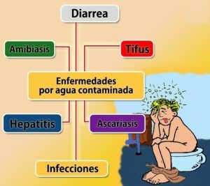 ¿Qué sucede si ingerimos agua que no cumplan los estándares de calidad?
