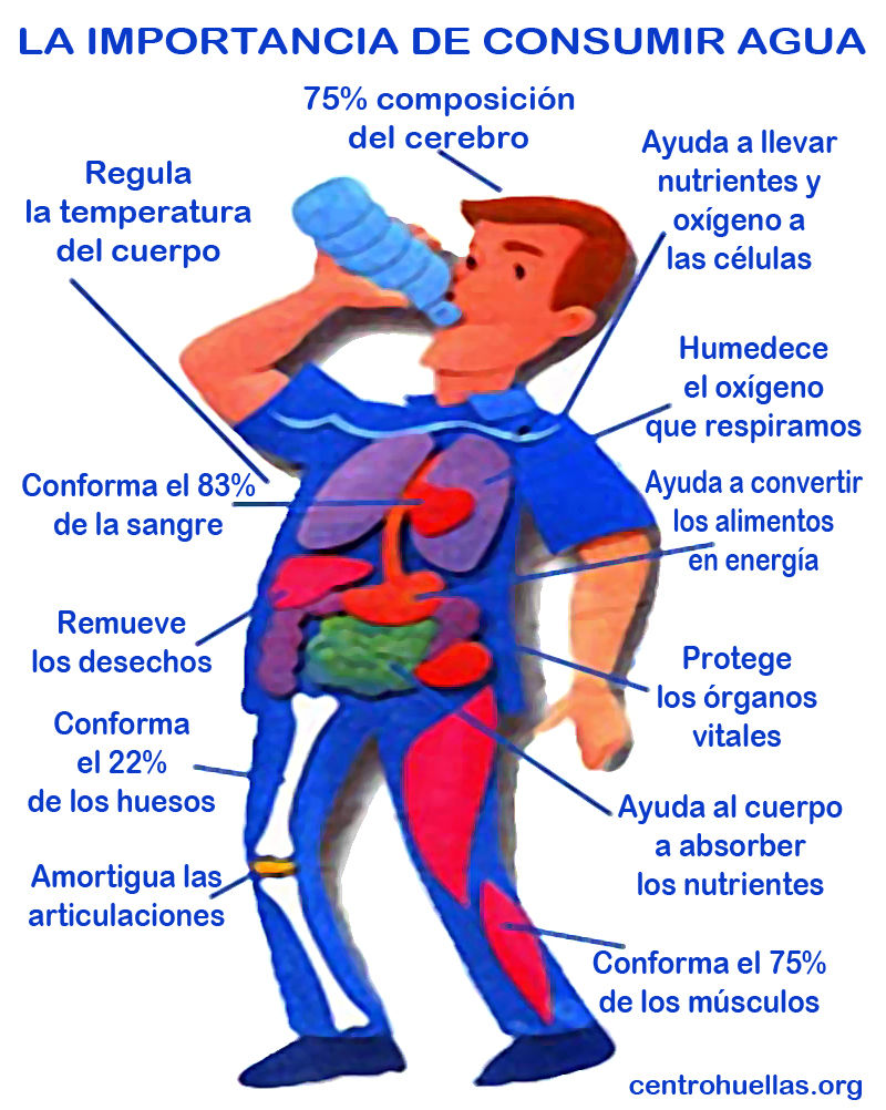 ¿Que importancia tiene el consumir agua potable?