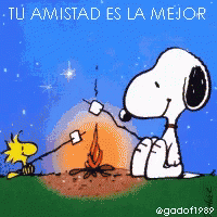 ¿Qué características tiene la amistad?