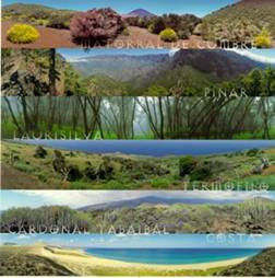Estableces la importancia de las regiones y recursos naturales en México