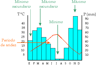 gráfico o diagrama sobre ejes de coordenadas en el que se representan los datos de temperatura y pluviosidad de un lugar determinado dura...