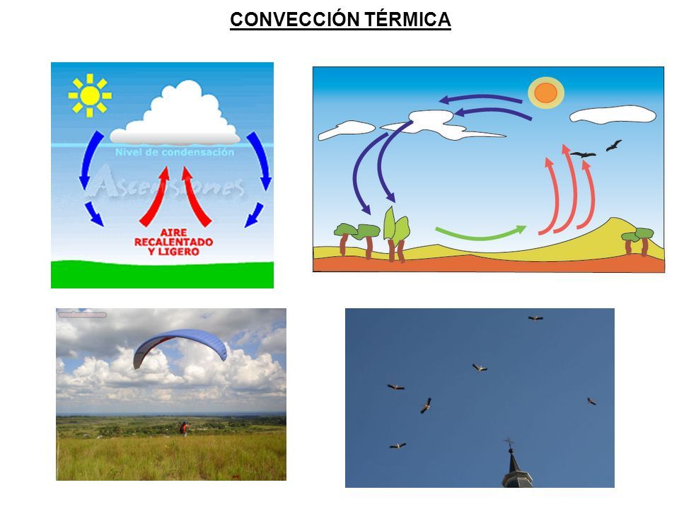 movimiento ascendente del aire que provoca lluvias producido, bien por la convergencia o choque de masas de aire de distintas procedencia...