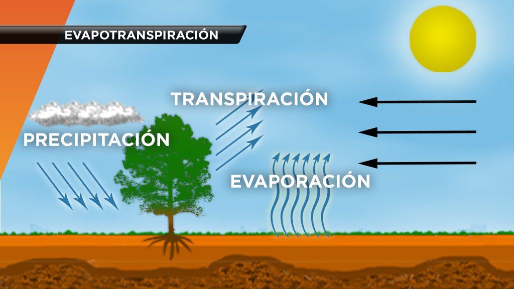 EVAPOTRANSPIRACIÓN