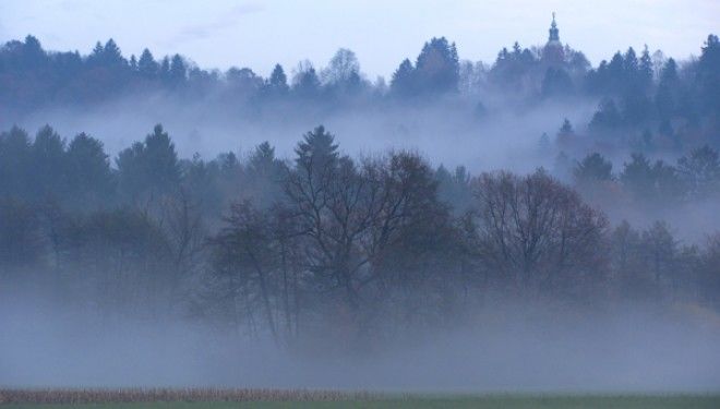 es la cantidad de vapor de agua que contiene el aire procedente de la EVAPORACIÓN. Disminuye cuando aumenta la temperatura.