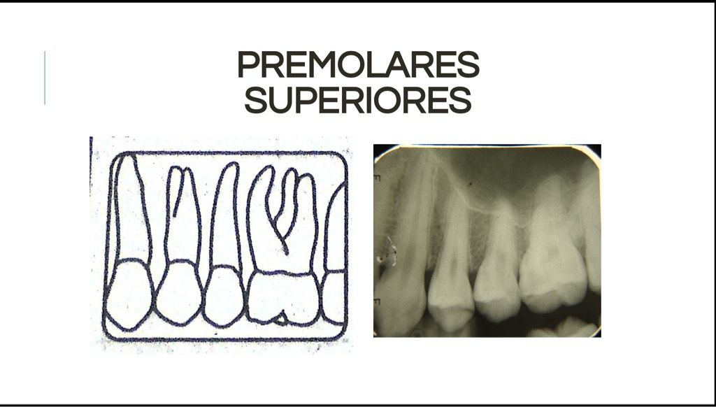 Áreas Prescritas