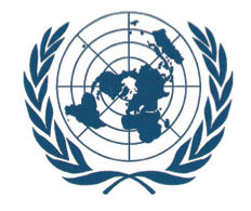 L'ONU E LE SUE ISTITUZIONI