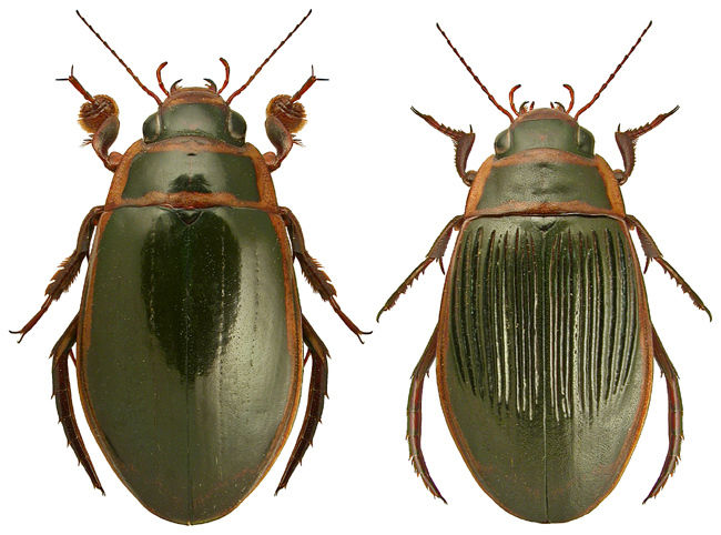 Image for question 4