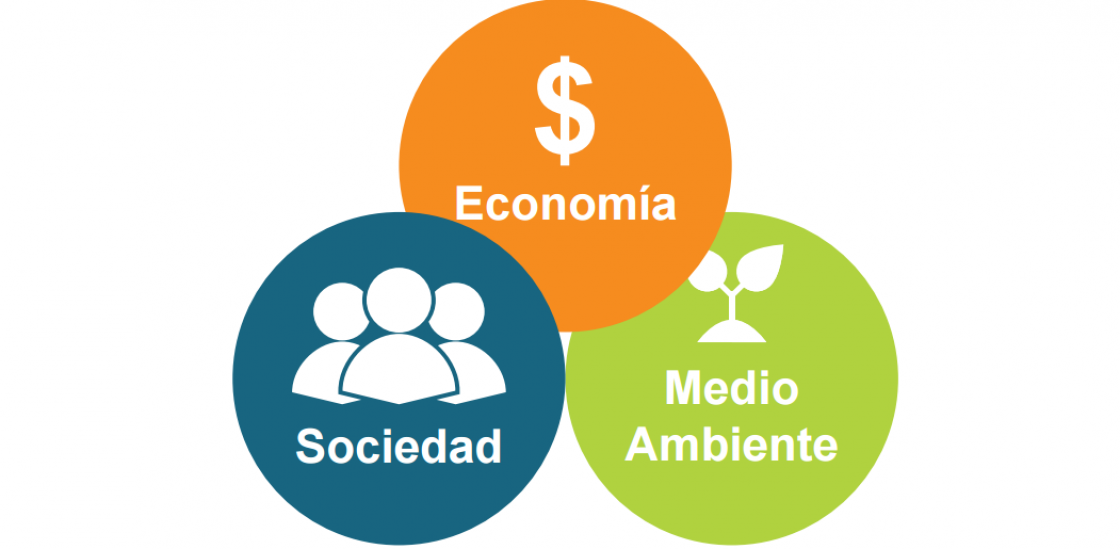 EDUCACIÓN AMBIENTAL PARA LA SUSTENTABILIDAD