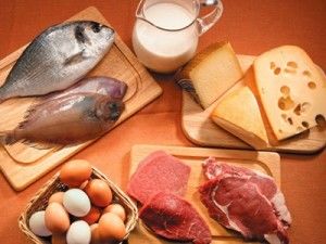 Carnes y productos de origen animal, Proteínas