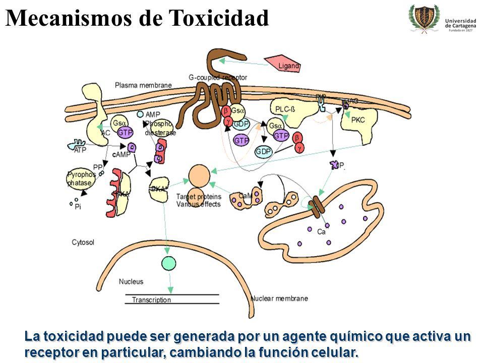 Enzimas: un papel en la definición de la enfermedad