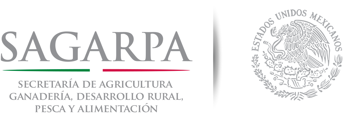 Apéndice 9 del Anexo 22 de las Reglas Generales de Comercio Exterior.