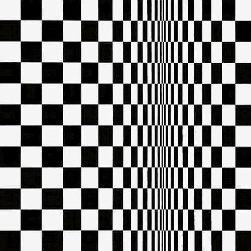 Bridget Riley, Movement in the Squares, 1961, Emulsion on board (requires SKILLS)