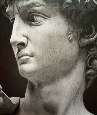 Perfil Griego Ángulo frontonasal casi o totalmente recto