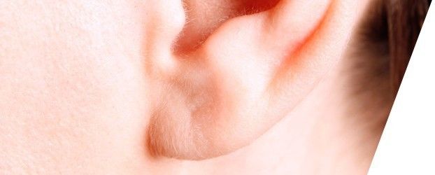 Lóbulo Auricular (pegado o no pegado) Parte del pabellón auricular situado por debajo del anti trago
