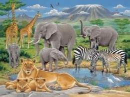 NIVELES ECOLÓGICOS: DE LOS INDIVIDUOS A LOS ECOSISTEMAS.