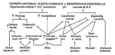 HIPERTENSIÓN ARTERIAL