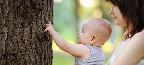 Desarrollo del recién nacido a tres años de edad