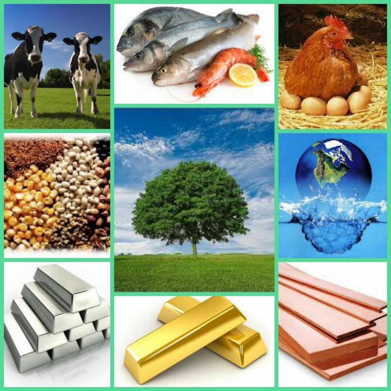PROCESOS PRODUCTIVOS