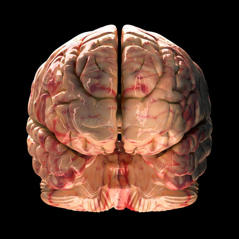 Tres bloques o unidades cerebrales de la empresa funcional