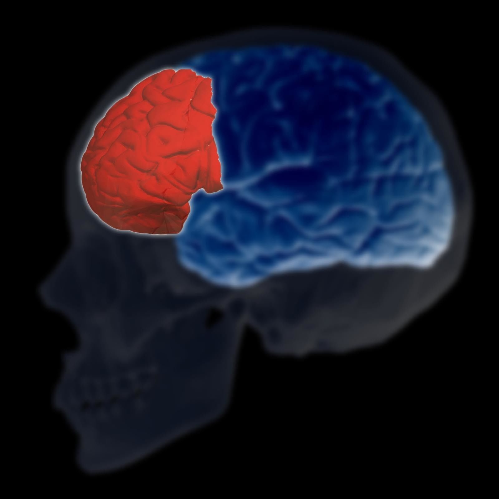 Tres bloques o unidades cerebrales de la empresa funcional