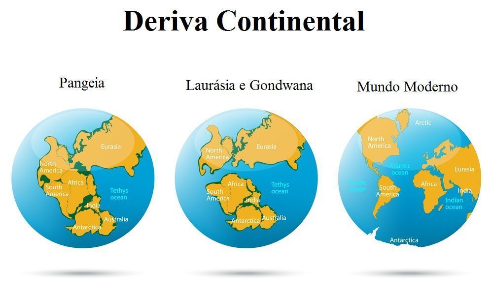 Geografia — Testes/Segundo Bimestre