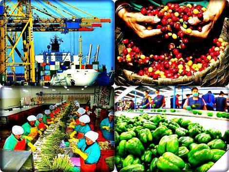 estructuras de integración económica