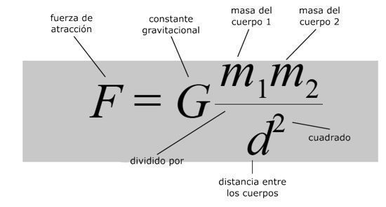 ¿Por qué se mueven los cuerpos y Cómo lo hacen?