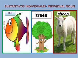el sustantivo